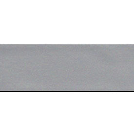 RIBBON REFLECTIVE25MM 25M POLYESTER $2.40/m