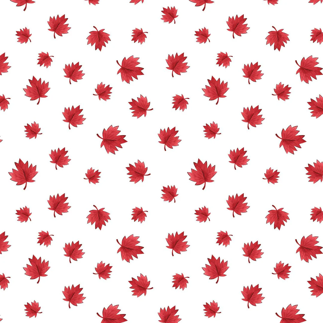 OH CANADA - 36250103-01 MAPLE LEAVES WHITE $19.96/m