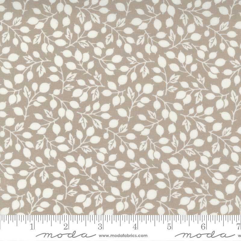 Pumpkins Blossoms by Fig Tree and Co - Grey