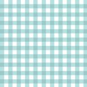 Gingham Rainwater #0043 $18.96/m