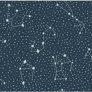 Cosmic Sea by Calli and Co. for Cotton + Steel - Dark Sky- 304120-16 $24.96/m