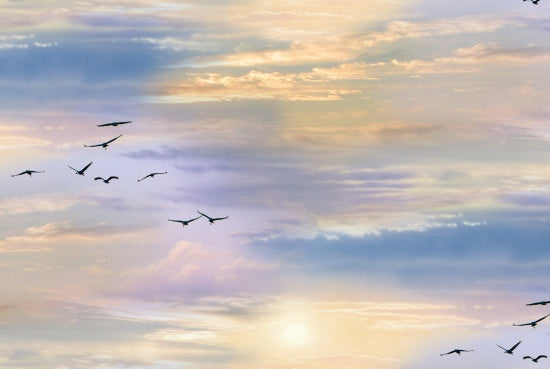 African Sky- Landscape Medley 26.96/m