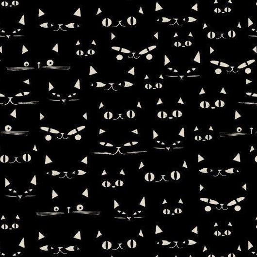 Full Moon - Black Cats