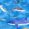 Kids Land- Poplin- Sharks and fish $15.96/m