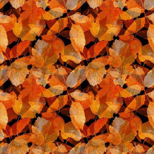 Reflections of Autumn IBFREA5RA-1 $20.96/M