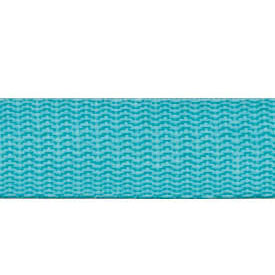 Webbing 1" Aqua- POLYPRO WEBBING 25MM