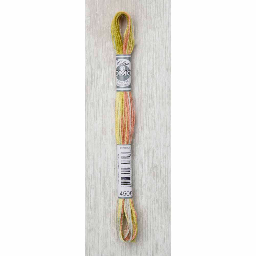 DMC #517 - Coloris Floss 8m (83⁄4yd) - 4508 Frosted Countryside