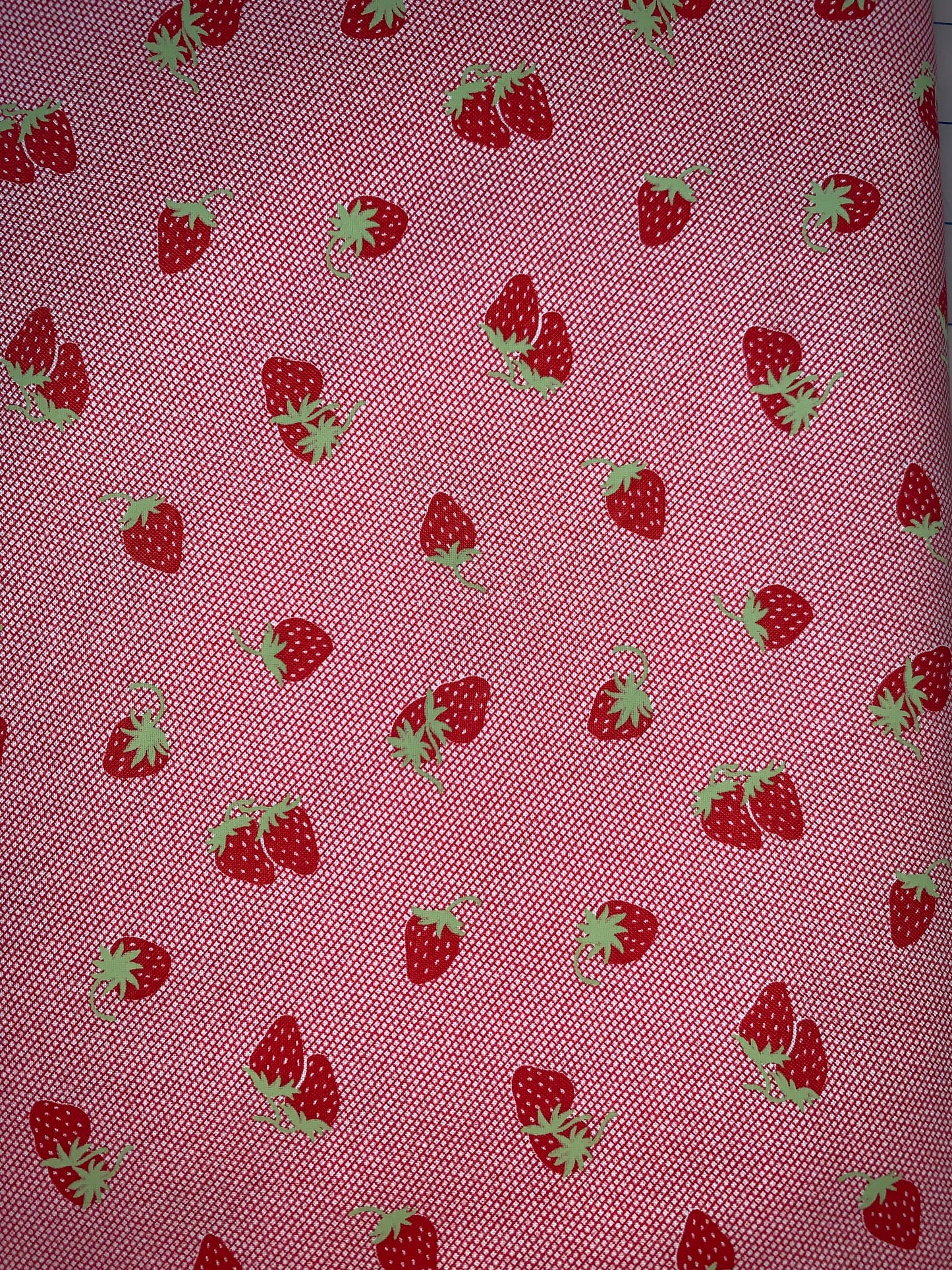 Sunday Stroll by Bonnie & Camille for Moda - 55223-12