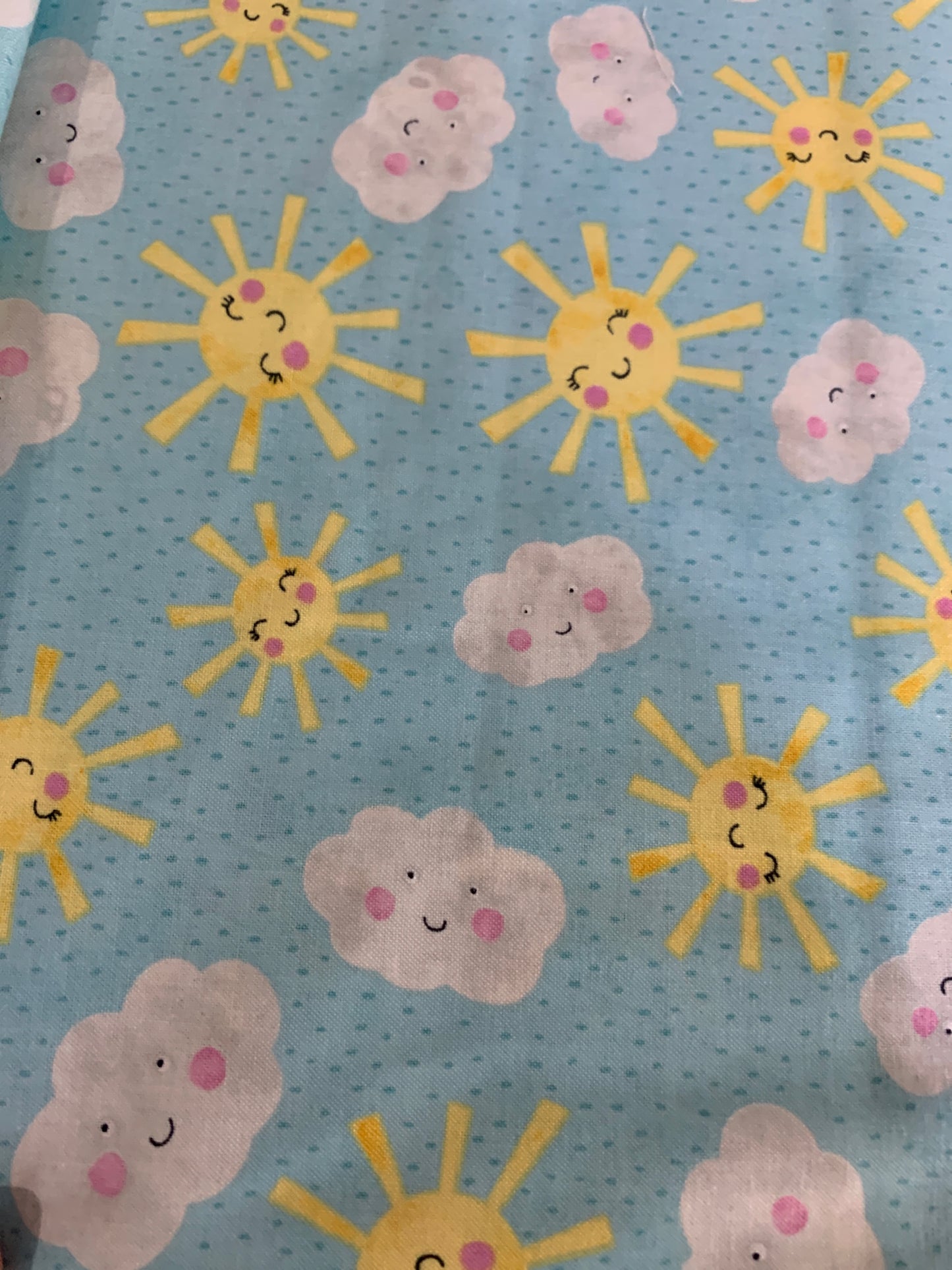 Raindrops and Sunshine 495