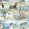 A dogs life- multi $14.96/m