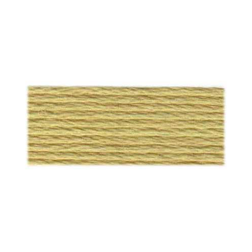 DMC #117 Cotton 6 Strand Floss 8m - 3047