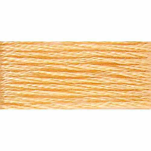 DMC #117 Cotton 6 Strand Floss 8m - 19 Medium Light Autumn Gold