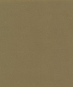 Khaki Arctica- Outerwear Fabrics  $22.96/m