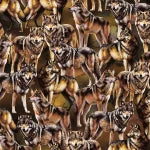 Twilight Wolf Pack Wolf Face White $19.96/m