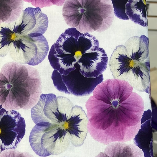 Pansy $16.96/m