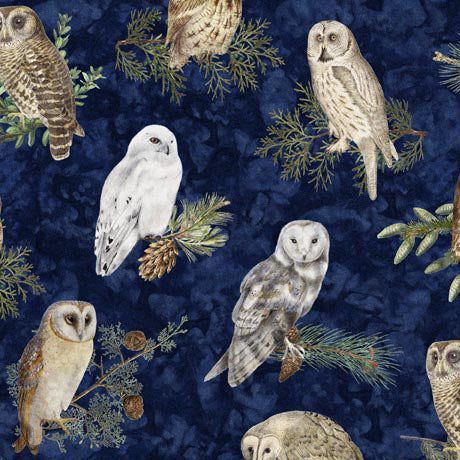 Winterhaven - Owls 29899 N $23.96/m