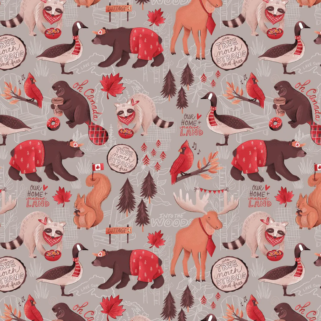 OH CANADA - 36250101-02 TRUE NORTH GREY $19.96/m