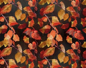Reflections of Autumn IBFREAT21RA-1 $23.96/M