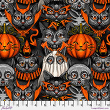 Costume Party - Black|| Costumes & Cobwebs PWRH115.BLACK $20.96/m