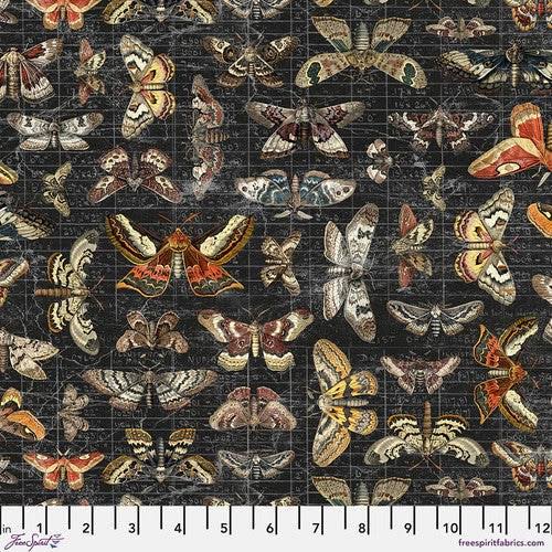 Halloween Moth Study $ 31.96/m