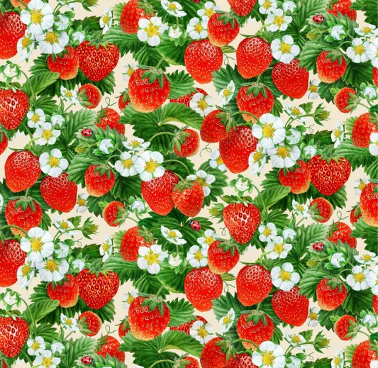 Strawberry Fields- Packed Strawberry Vine  $24.96/m