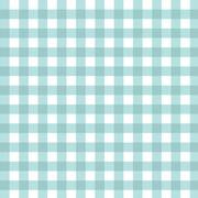 Gingham Rainwater  #0043 $18.96/m