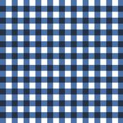 Gingham Indigo #0097 $18.96/m