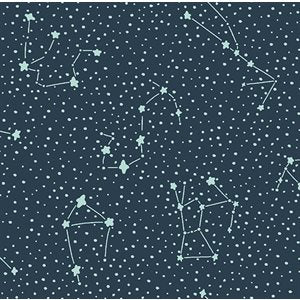 Cosmic Sea by Calli and Co. for Cotton + Steel - Dark Sky- 304120-16 $24.96/m