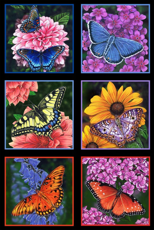 #23. Butterfly Garden - ELS6400-BLA - $11.96