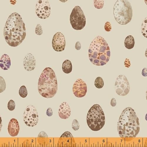 CURIO EGGS SAND $18.96/m