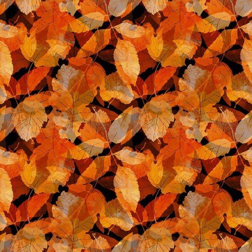 Reflections of Autumn IBFREA5RA-1 $20.96/M