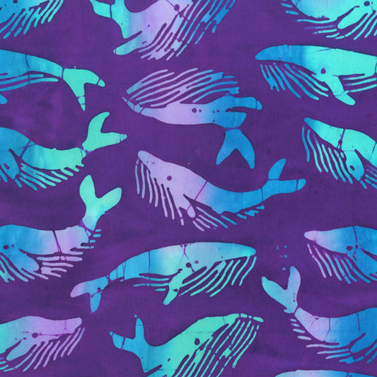 Anthology purple-whales  $24.96/m