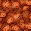 Sports Collection- Basketballs