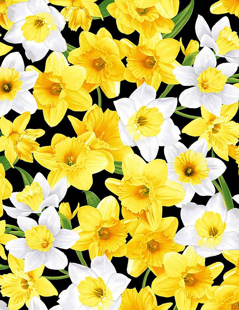 Garden Bouquet daffodils on black $21.96/m