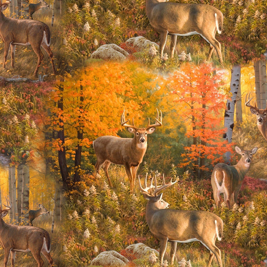 Autumn Surprise Designer: Greg Alexander- deer $19.96/m