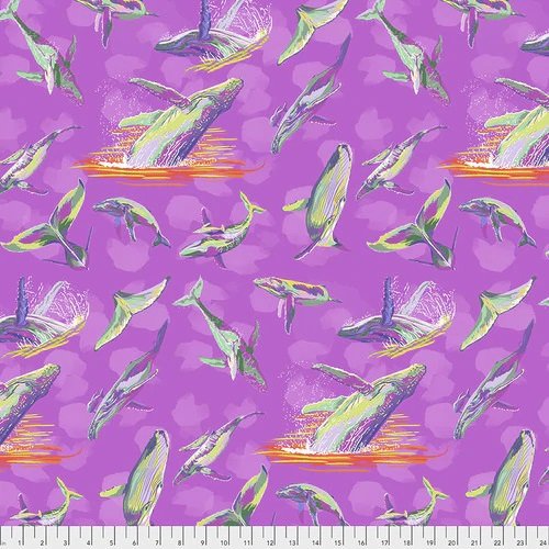 The humpbacks ballet Migration - PWLT013. Magenta