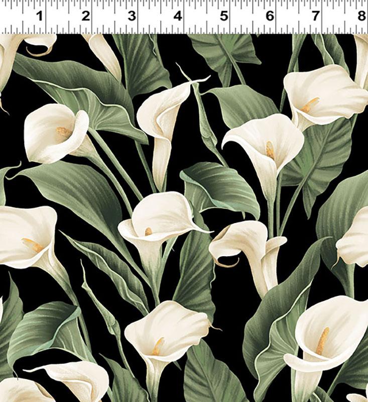 Colorido- White Calla Lilies on Black